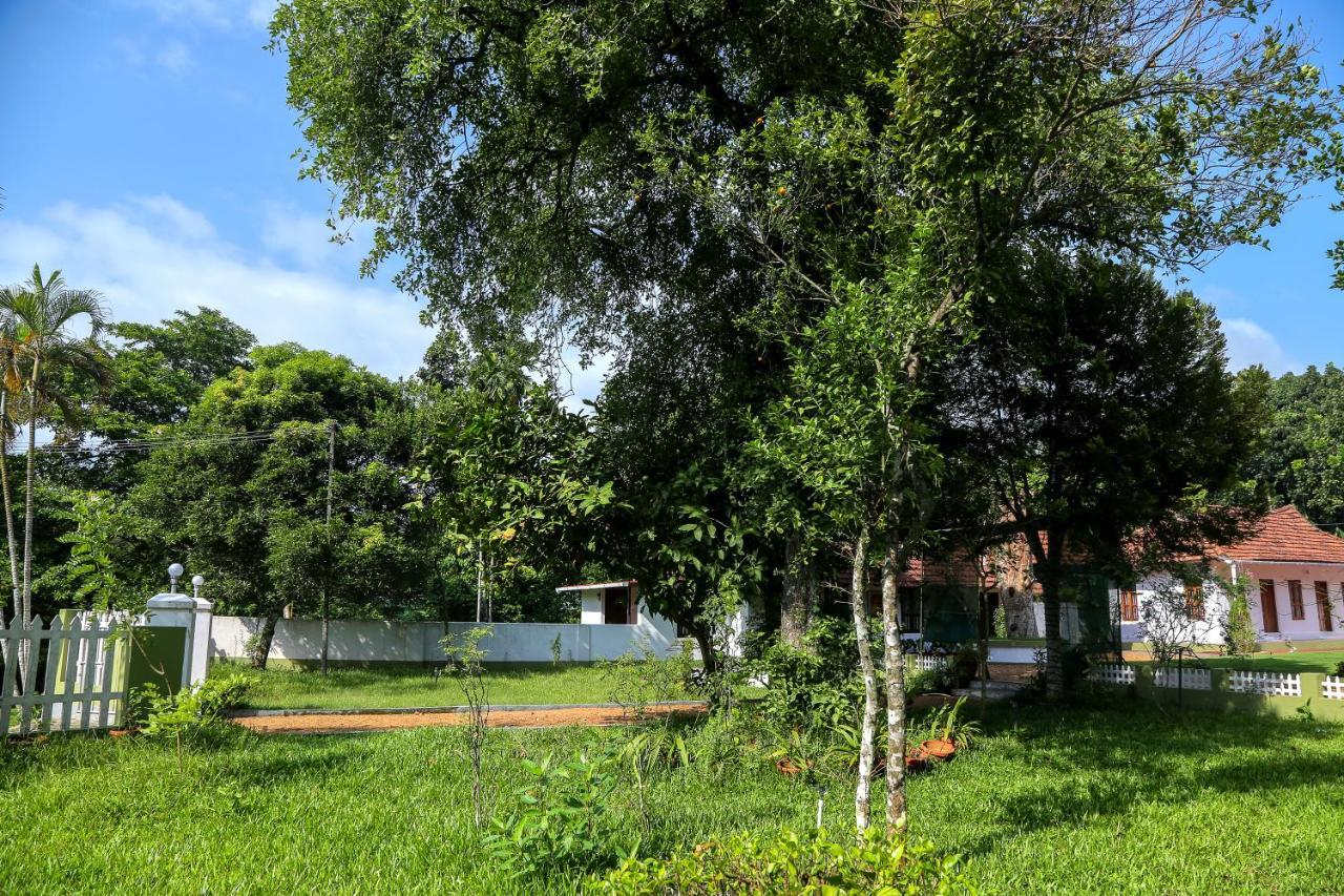 Akkara Homestay & Ayurveda Kottayam Eksteriør bilde